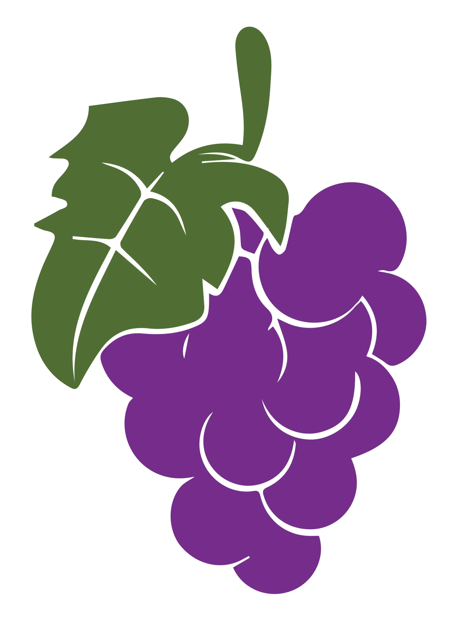 Grapes Personal Care